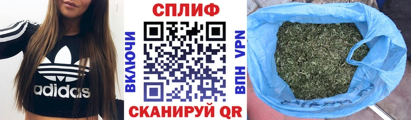 Виды наркотиков купить Новая Ладога АМФ кракен сайт Конопля