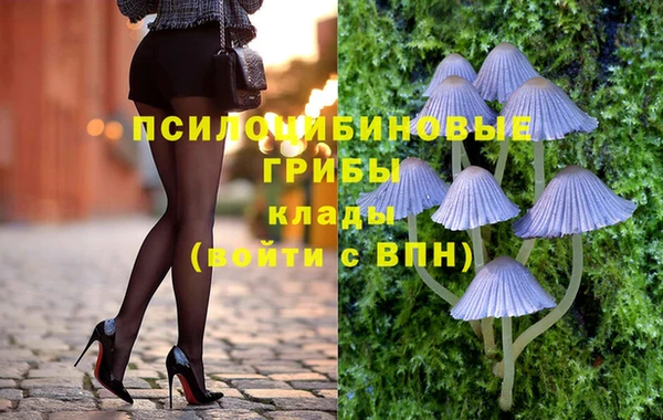 дживик Алексин