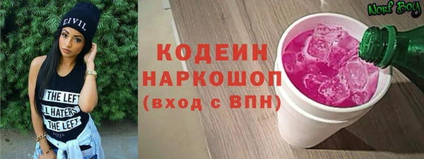твердый Няндома