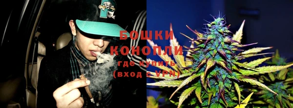 гашик Осташков