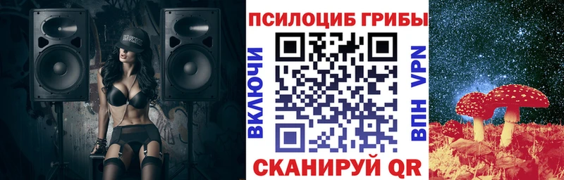 сколько стоит Новая Ладога Псилоцибиновые грибы Magic Shrooms