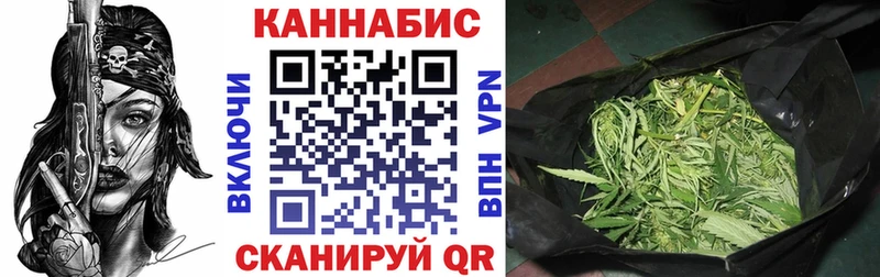 купить наркоту  Новая Ладога  Канабис ГИДРОПОН 